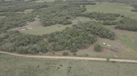 Propriedade com 23 hectares. campo macio apto a plantação 