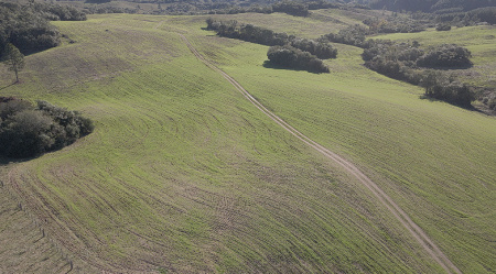 Propriedade com 95 hectares