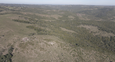 Propriedade com 234 hectares podendo chegar a 254 hectares, própria para pecuária e reflorestamento