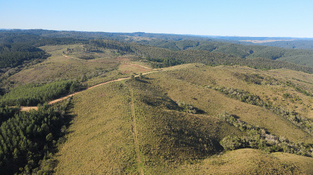 Propriedade com 147 hectares