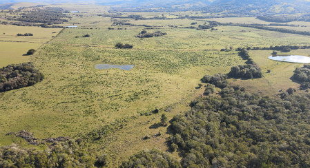 Propriedade com 51 hectares