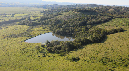 Propriedade com 28 hectares