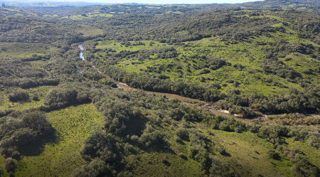 Propriedade com 42 hectares