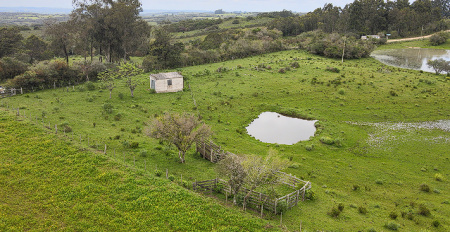 2,5 hectares