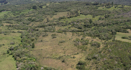 Propriedade com 20 hectares