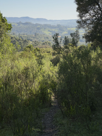 Propriedade com 5,25 hectares