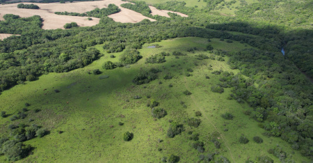 Propriedade com 45,9 hectares