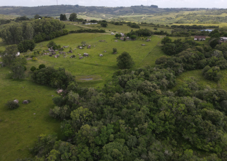 Propriedade com 7 hectares