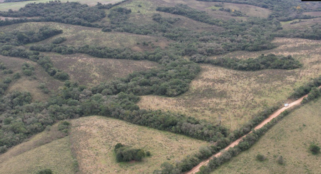 Propriedade com 34 hectares