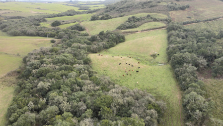 Propriedade de 7 hectares