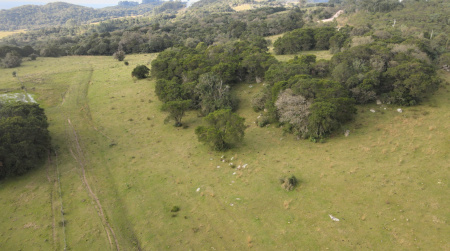 Propriedade com 42 hectares