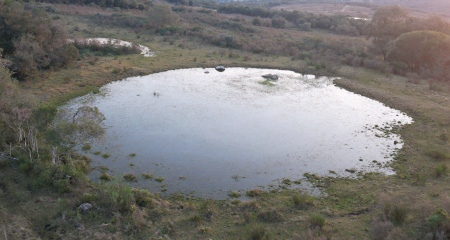 Propriedade com 5 hectares