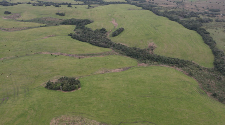 Propriedade com 51,5 hectares