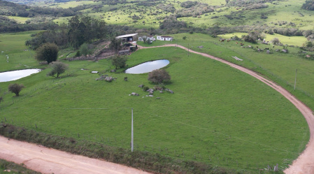 Propriedade com 22 hectares