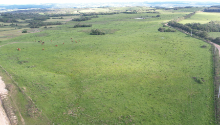 Propriedade com 266 hectares