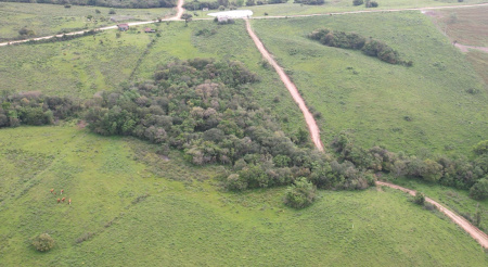 Propriedade com 14,2 hectares