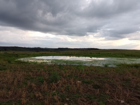 Propriedade Rural à Venda