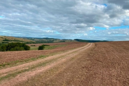 Propriedade Rural na Região de Piratini