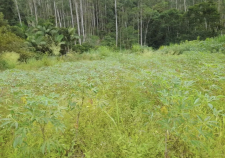 Terreno à venda em Camboriú 