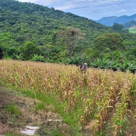 Sítio à venda em Camboriú 