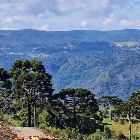 Terreno de 2 Hectares à Venda em Urubici