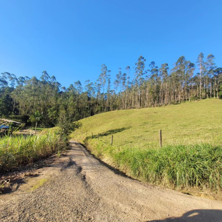 Sítio à Venda no Bairro Braço - Camboriú 